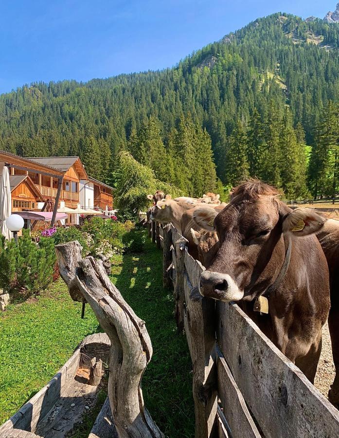 Alpin Natur Hotel Brueckele Braies  Exterior foto