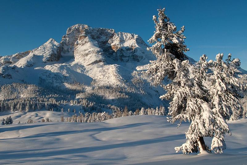 Alpin Natur Hotel Brueckele Braies  Exterior foto